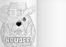 Load image into Gallery viewer, Complete Adult Coloring Book Bundle: Vol 1 + 2 + 3 + Pencils