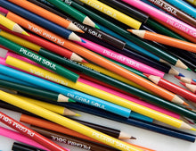 Load image into Gallery viewer, Adult Coloring Book Bundle w/ Pencils  (Vol 1 + Vol 2 + Pencils)
