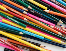 Load image into Gallery viewer, Adult Coloring Book Bundle w/ Pencils  (Vol 1 + Vol 2 + Pencils)