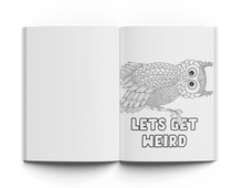 Load image into Gallery viewer, Adult Coloring Book Bundle w/ Pencils  (Vol 1 + Vol 2 + Pencils)