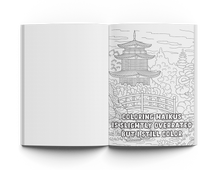Load image into Gallery viewer, Adult Coloring Book Bundle w/ Pencils  (Vol 1 + Vol 2 + Pencils)